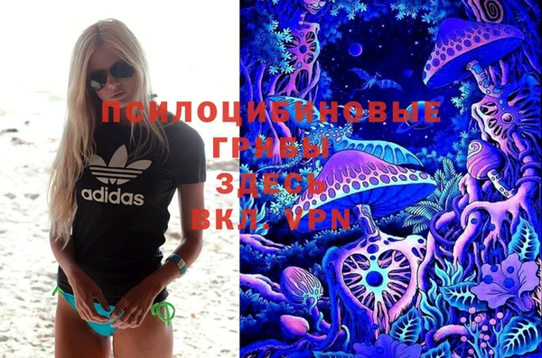 винт Бронницы