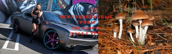 гашишное масло Бородино