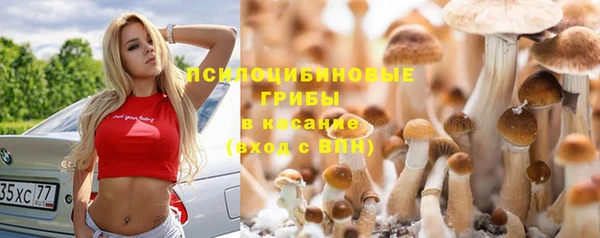 винт Бронницы