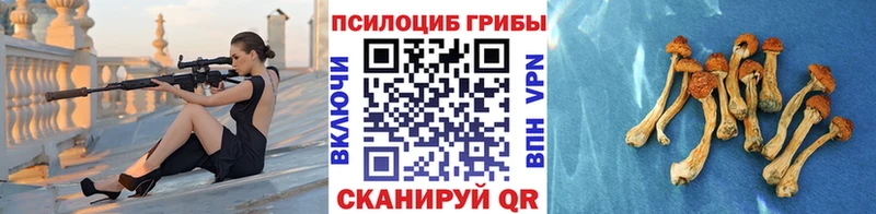 купить наркотики сайты  Волгореченск  Галлюциногенные грибы мухоморы 